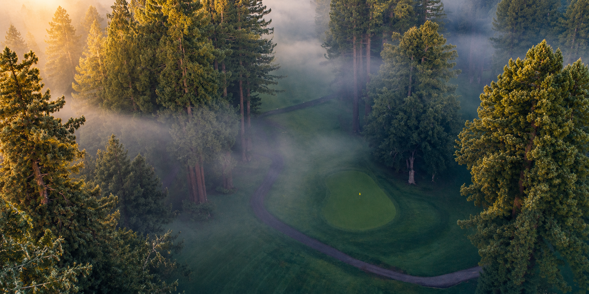 Aerial view of a Northwood Golf Club green enclosed by towering California redwoods, with morning mist drifting through the forest and golden light breaking through the canopy